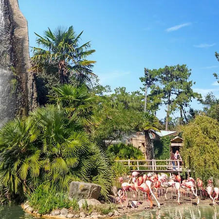 Vakantiehuis Charmante Maison Proche Saint-Pierre-d'Oleron